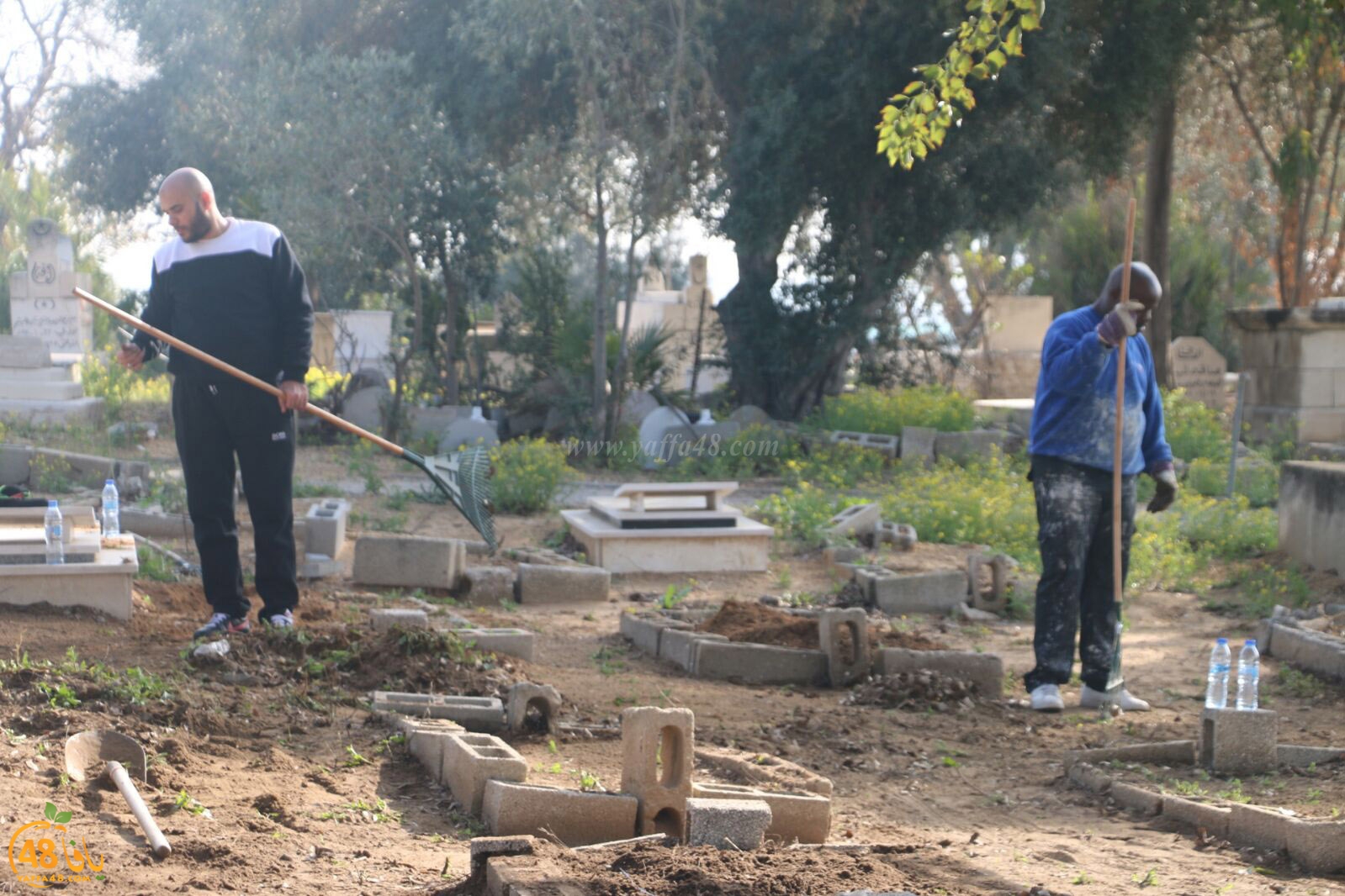 taso 23 tendedf (68).jpg